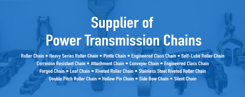 Supplier of Power Transmission Chain