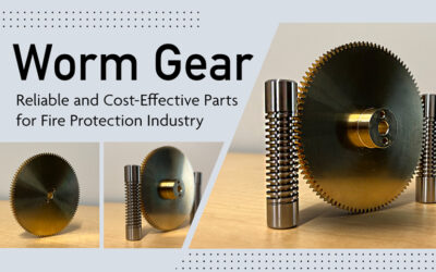 New Arrival: Top-Quality Worm Gears